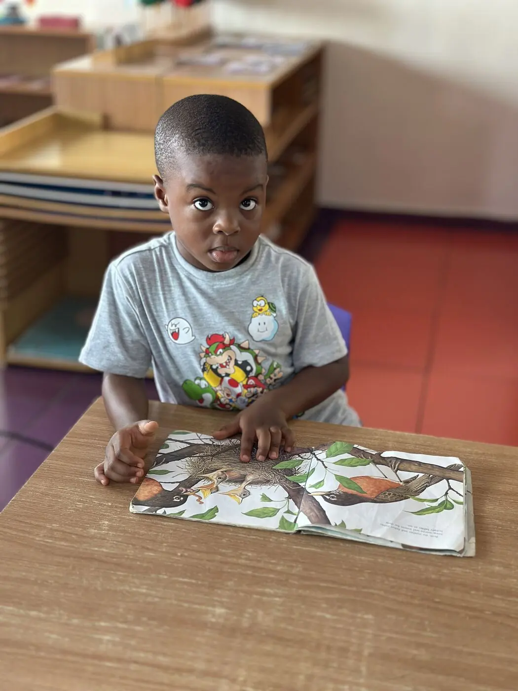 A Toddler child reading with a picture book